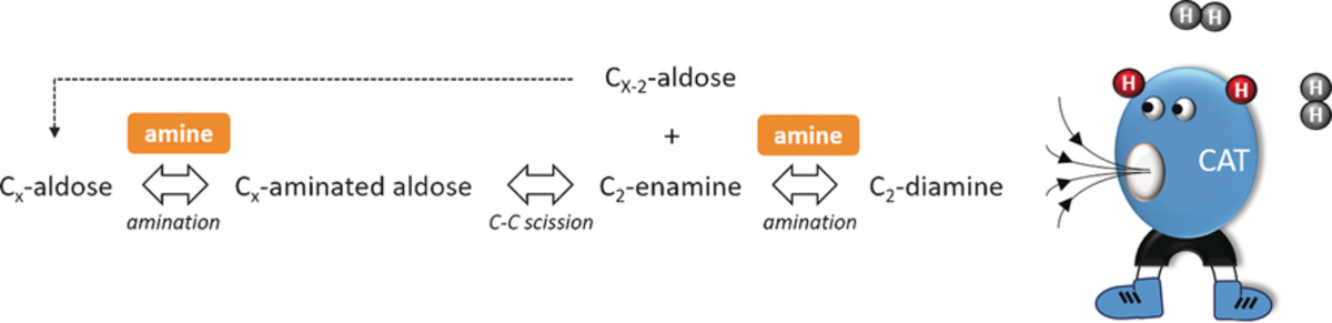 Low‐Temperature Reductive Aminolysis of Carbohydrates to Diamines and Aminoalcohols by Heterogeneous Catalysis