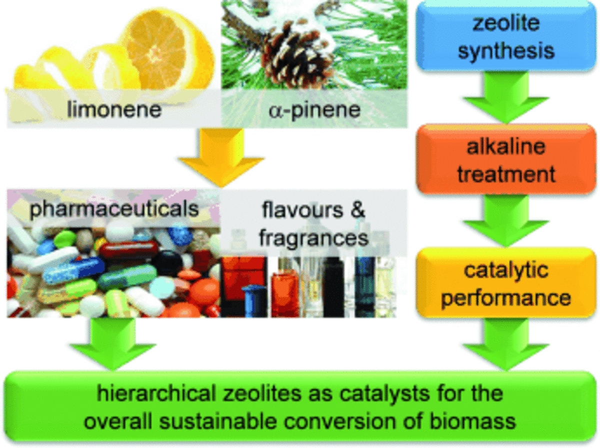 Potential of Sustainable Hierarchical Zeolites in the Valorization of α-Pinene