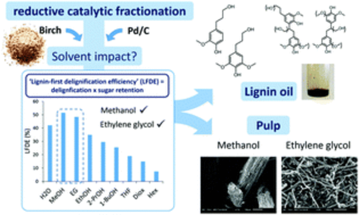 Influence of bio-based solvents on the catalytic reductive fractionation of birch wood