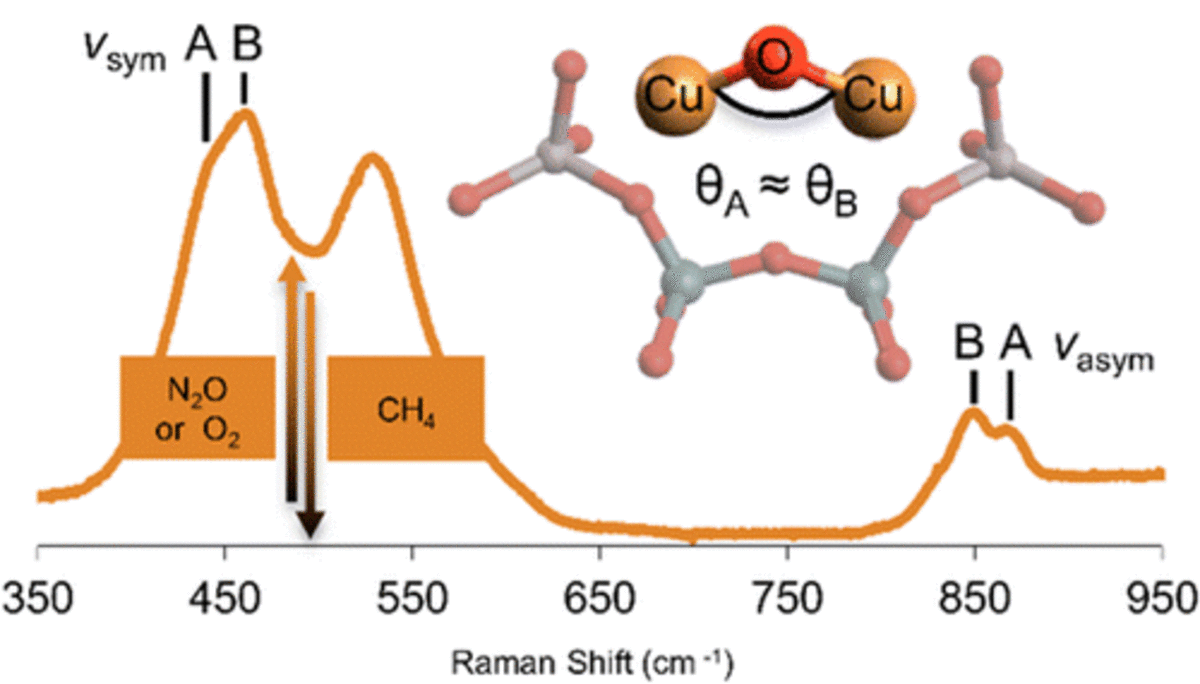 Spectroscopic Definition of the Copper Active Sites in Mordenite: Selective Methane Oxidation