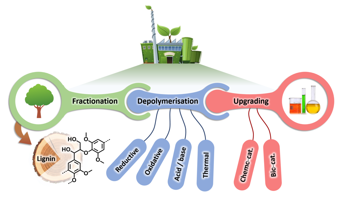 Chemicals from lignin: an interplay of lignocellulose fractionation, depolymerisation, and upgrading