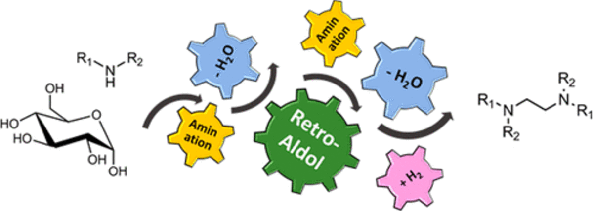Catalytic Reductive Aminolysis of Reducing Sugars: Elucidation of Reaction Mechanism