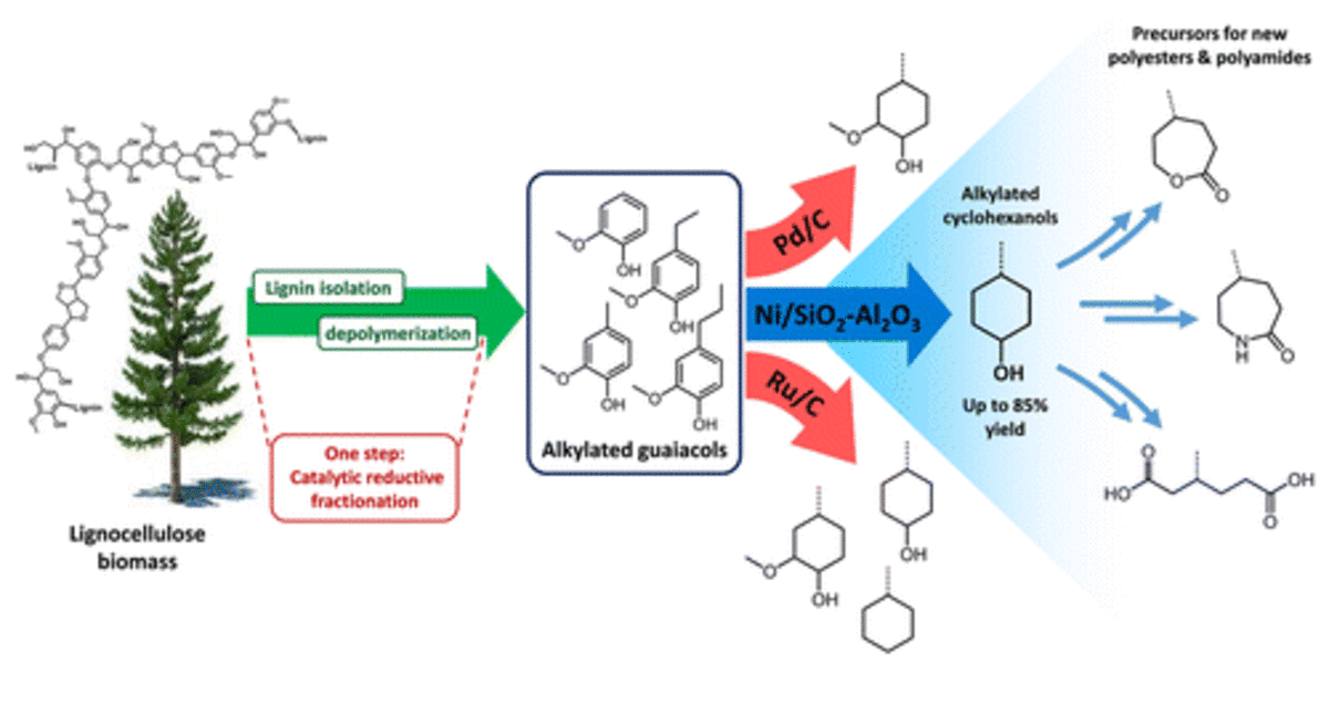Selective Conversion of Lignin-Derivable 4-Alkylguaiacols to 4-Alkylcyclohexanols over Noble and Non-Noble-Metal Catalysts