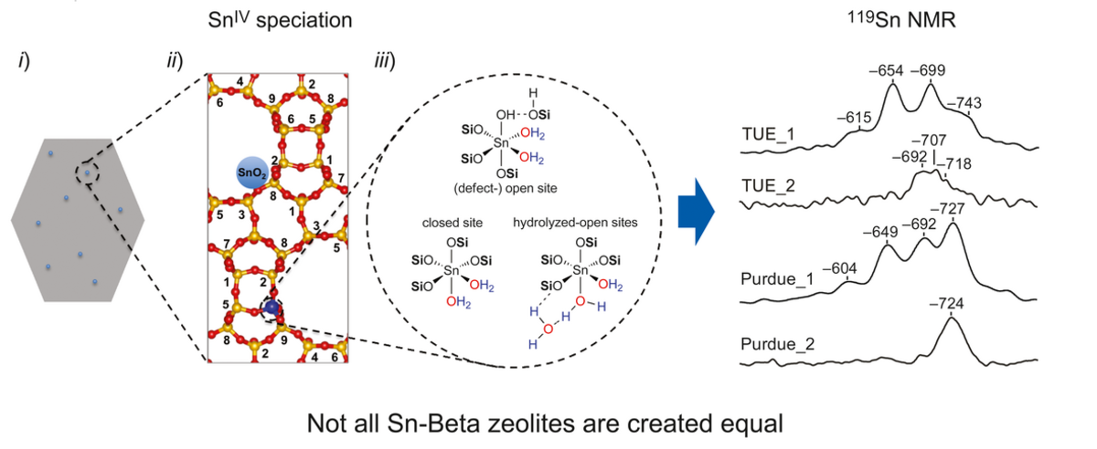 Identifying Sn Site Heterogeneities Prevalent Among Sn‐Beta Zeolites