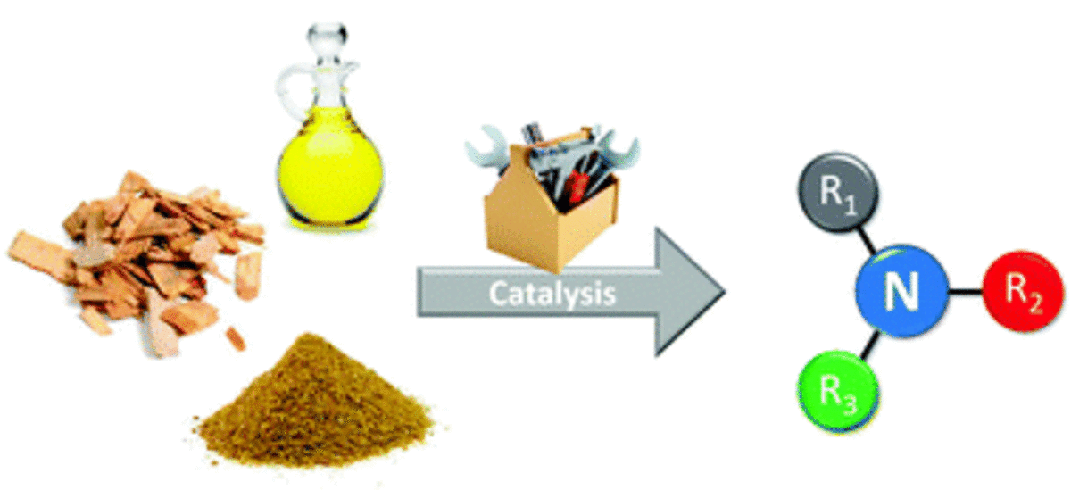 Bio-based amines through sustainable heterogeneous catalysis