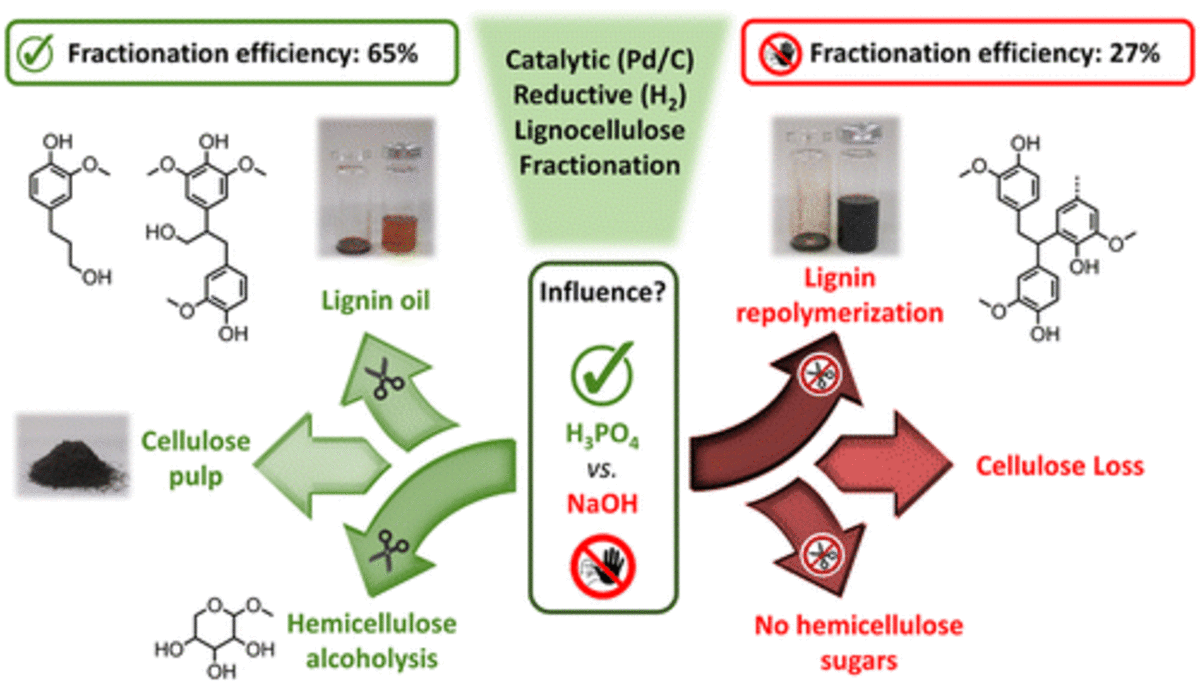 Influence of Acidic (H3PO4) and Alkaline (NaOH) Additives on the Catalytic Reductive Fractionation of Lignocellulose