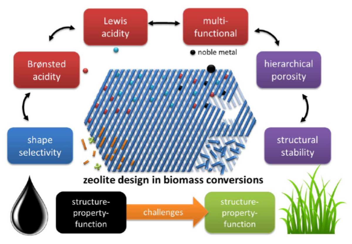 Potential and challenges of zeolite chemistry in the catalytic conversion of biomass