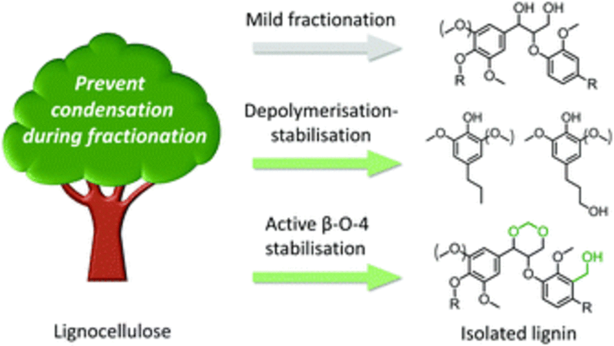 Lignin-first biomass fractionation: the advent of active stabilisation strategies