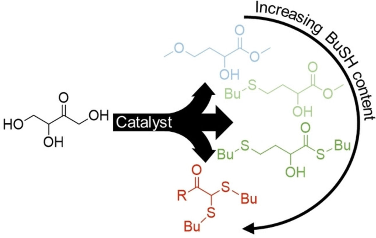 Establishing the reaction pathways of the catalytic conversion of erythrulose to sulphides of alpha‐hydroxy thioesters and esters