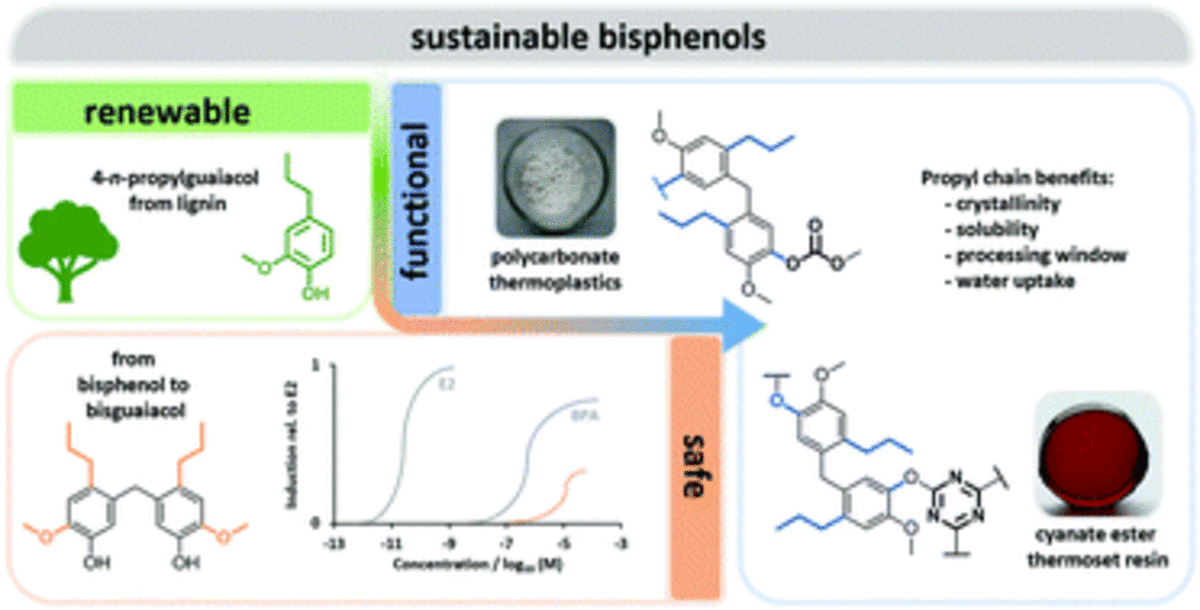Sustainable bisphenols from renewable softwood lignin feedstock for polycarbonates and cyanate ester resins
