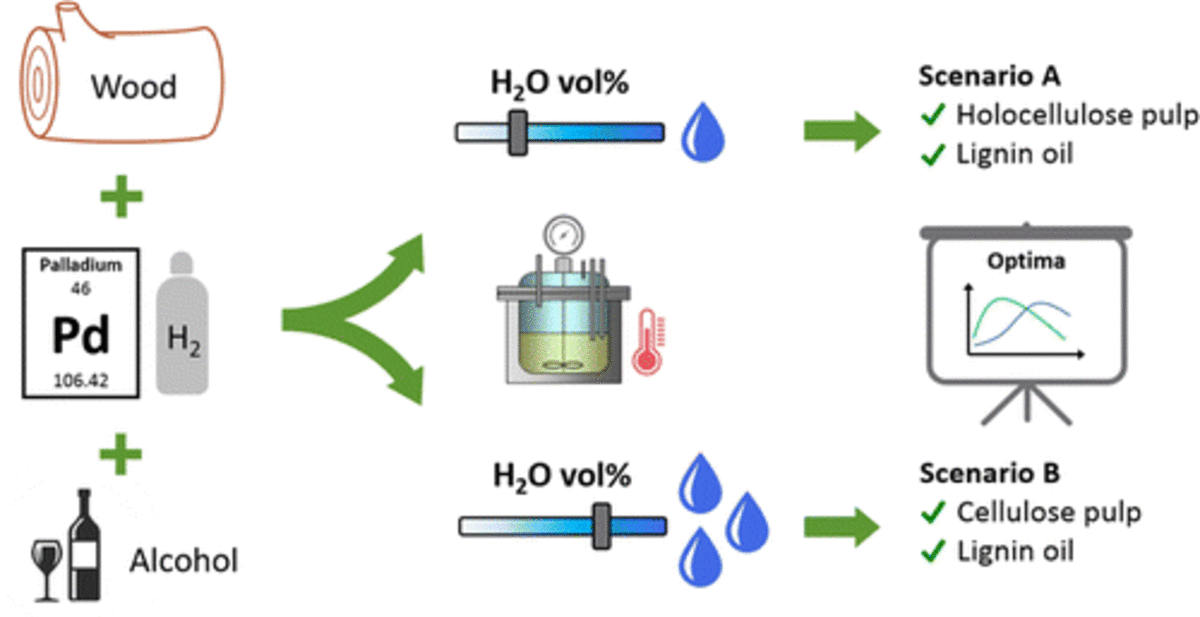 Synergetic effects of alcohol/water mixing on the catalytic reductive fractionation of poplar wood