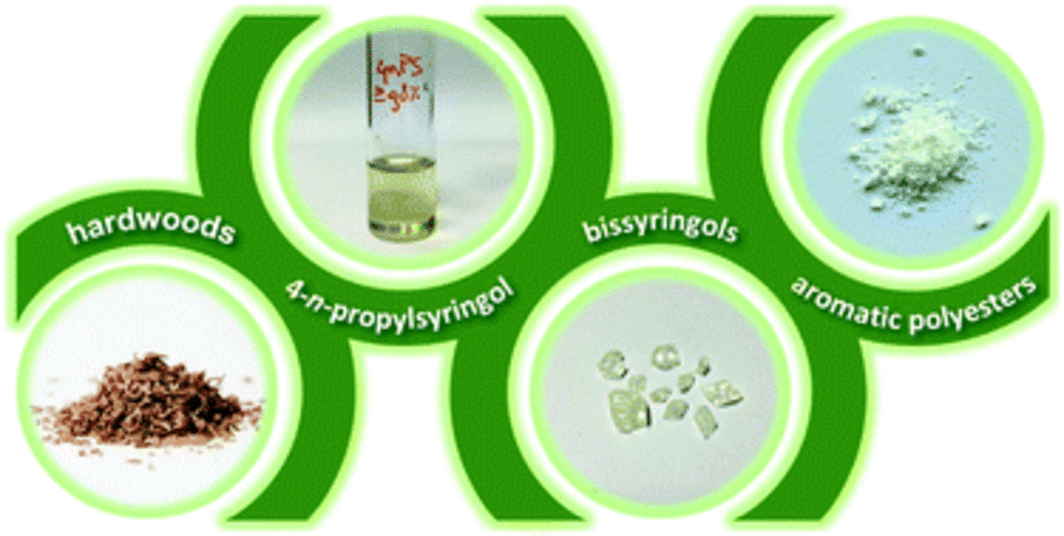 Promising bulk production of a potentially benign bisphenol A replacement from a hardwood lignin platform†